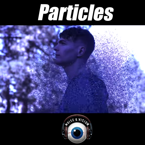 nytrix particles